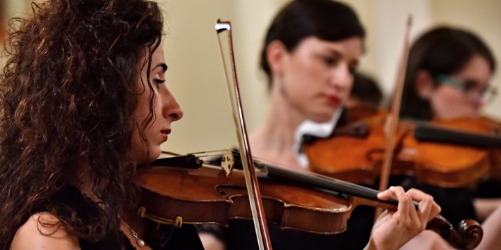 VIOLINO