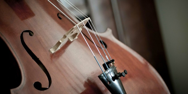 VIOLONCELLO